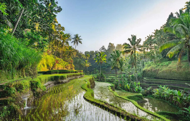 4 lakh Indian tourists visited Bali in 2023; direct flight from Bombay on cards, ET TravelWorld