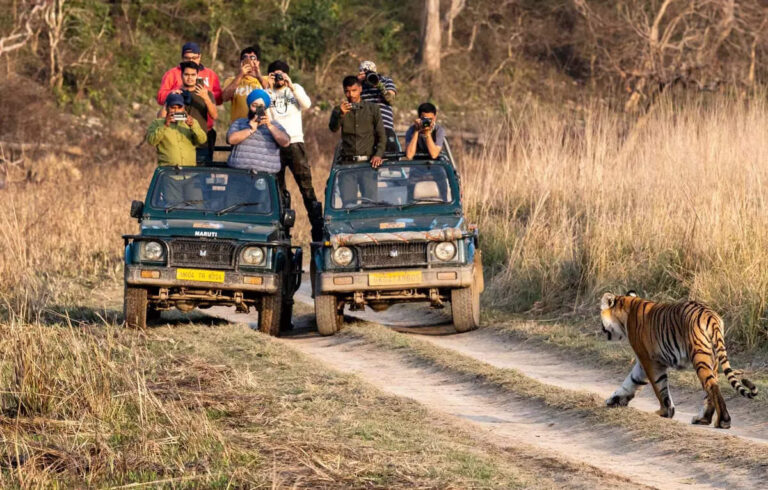 How will Supreme Court ban on safaris in Jim Corbett will impact Tiger Tourism in India?, ET TravelWorld