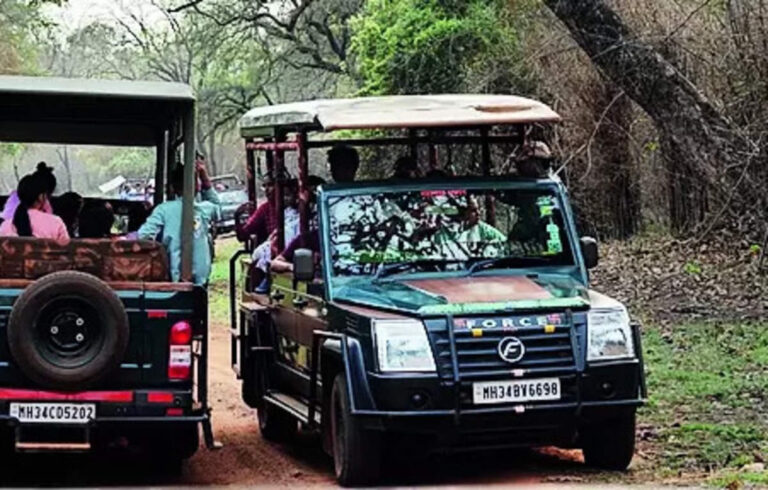 Cruiser Safaris For Owners Of Resorts & Tour Agents Banned, ET TravelWorld News, ET TravelWorld